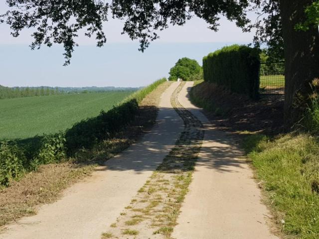 לינה וארוחת בוקר הברלי Boslucht Leuven מראה חיצוני תמונה